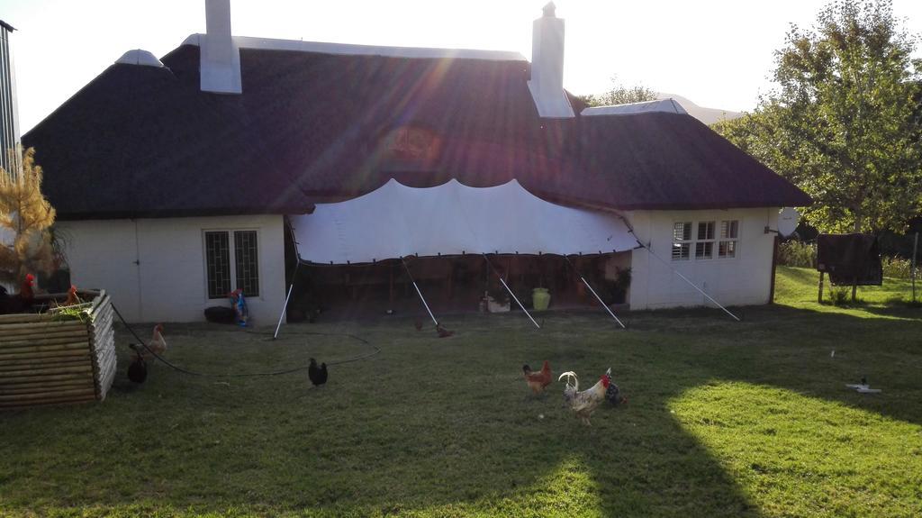 Farm stay Brambleberry Farm Riebeek-Kasteel